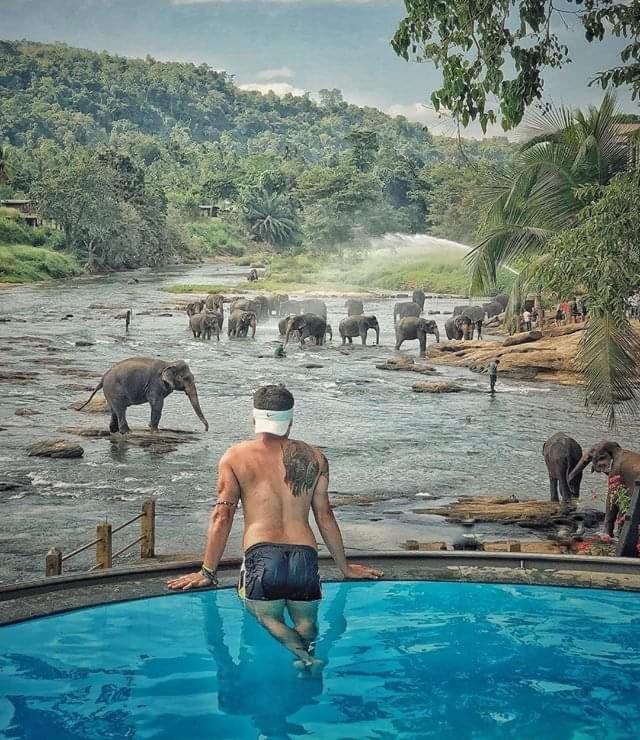Elephant Orphanage